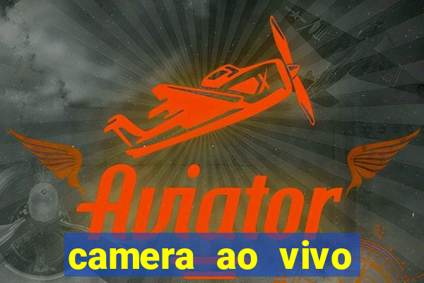 camera ao vivo terminal vila nova cachoeirinha