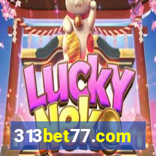 313bet77.com