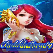 leucocitos baixos gato