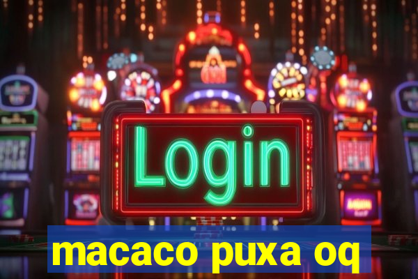 macaco puxa oq