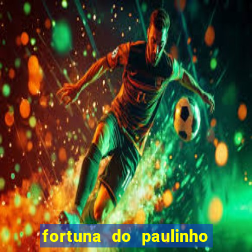 fortuna do paulinho do roupa nova