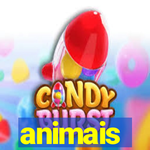 animais-pg.com