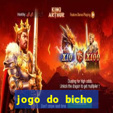 jogo do bicho banca ouro verde